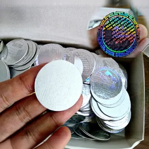 Holographic(1)